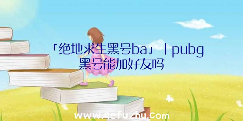 「绝地求生黑号ba」|pubg黑号能加好友吗